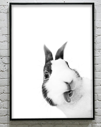 ZAJĄCZEK- poster, KOKO by HOKO