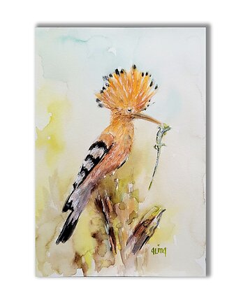 Akwarela ręcznie malowana "Dudek" ptaki, Galeria Alma