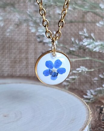 Wieczny kwiat niezapominajka zawieszka z niezapominajką, zkwiatem