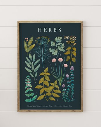 Plakat botaniczny "Herbs" 30x40, Studio Stonka