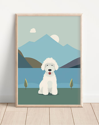 Plakat lagotto romagnolo, Whatever the timezone