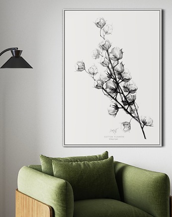 Kwiaty bawełny / Fine Art Print, Margo Hupert