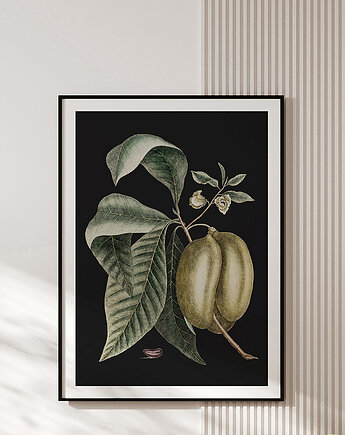 Plakat vintage - botaniczna ilustracja no.4, OKAZJE - Prezent na 40 urodziny