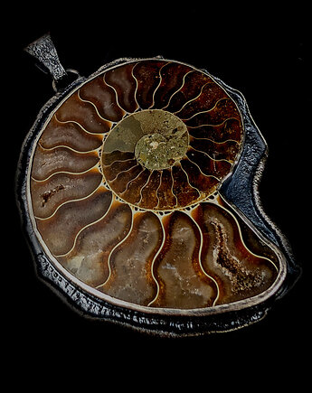 Pradawny amonit, Pracownia Neores