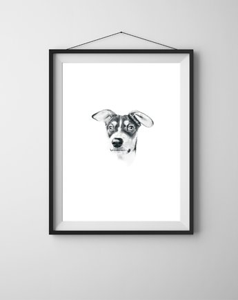 Portret psa Nr 2- rysunek w formie plakatu A3, wydruk pigmentowy, Anka Bednarz