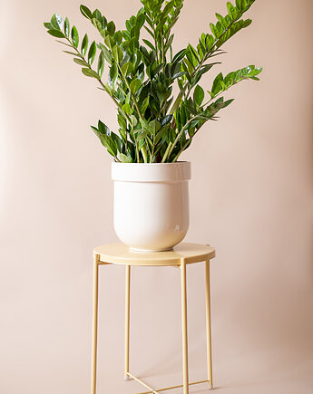 Donica TUBBA large 28cm (beżowy), FORMY PROSTE