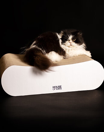 House of Cats projektant