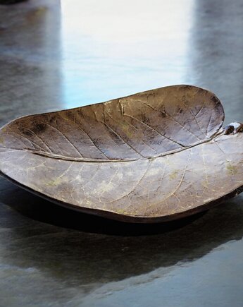 Patera liść, ArtByLeika