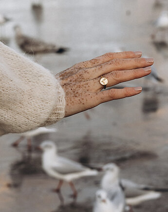 Sygnet Mewa, Sielava