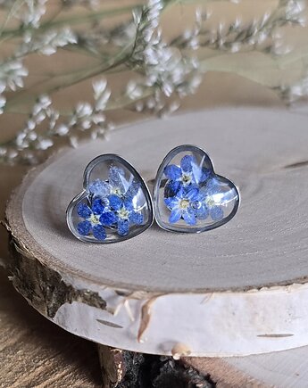 Wieczne kwiaty niezapominajki srebrne serca serduszka wkręty kolczyki, zkwiatem
