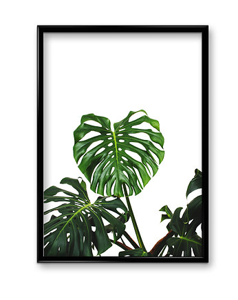 Plakat Zieleń #5 , Bury Lis