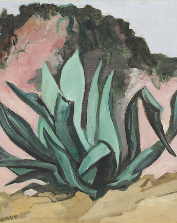 Agawa - Pablo O'Higgins -  obraz na płótnie, Dekoracje PATKA Patrycja Kita