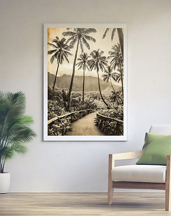 Plakat hawaje, ArchiBotanica