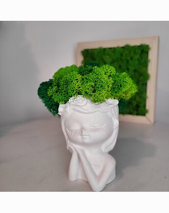 Doniczka głowa ozdobiona mchem chrobotkiem, Florals&Moss