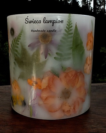 Lampion Botaniczny -Pomarańcza Kwiatowa, ploty doroty