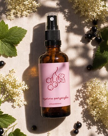 Mgiełka do Wnętrz i Tkanin 100 ml, Artisanelement
