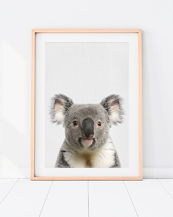 Plakat Koala - Plakat do pokoju dziecka, LOVINA PRINTS