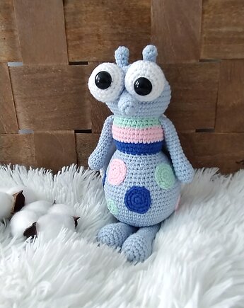 Mucha Marcin, muszka, owad, szydlAnki