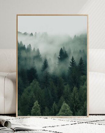 PLAKAT las we mgle zdjęcie lasu zielony, black dot studio
