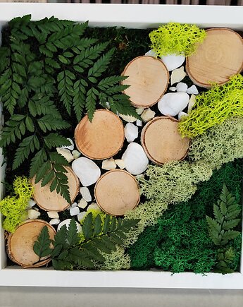 Ramka mech chrobotek do powieszenia postawienia dekoracja prezent, miaukramy