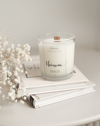 Świeca sojowa w szklance 180 ml - Harmonia DYNIOWY LAS - cedrowa słodycz, Nadzwyczajnie