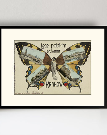 Motyl / grafika vintage, Szpeje