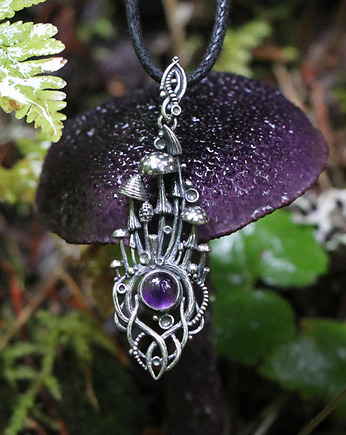 Grzybowe szepty - ametyst, Drakonaria