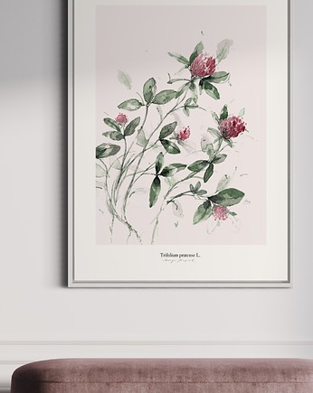 Koniczyna /print, Margo Hupert