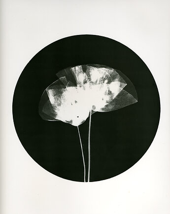 Mak_1_, PAPER AND LIGHT