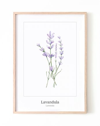 PLAKAT LAWENDA P180, Yoko Design