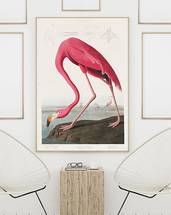 Grafika vintage | 50x70 cm, Milo Mi