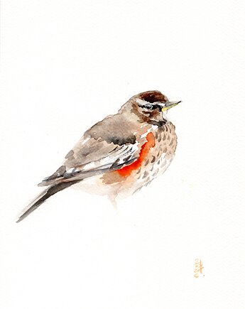 Oryginalna akwarela. Drozd, alquadro