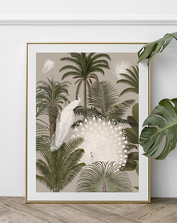Plakat Białe pawie  40x50 cm, Anita Tomala