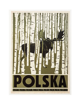Kartka pocztowa - Polska, Łoś, Galeria LueLue