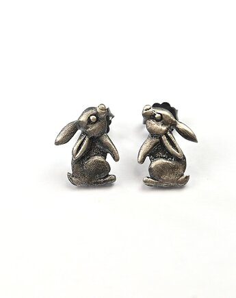 VENUS GALERIA projektant