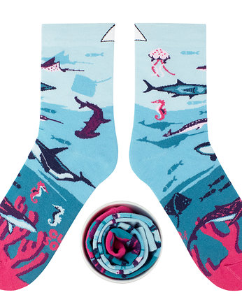 Deep sea, CUP of SOX