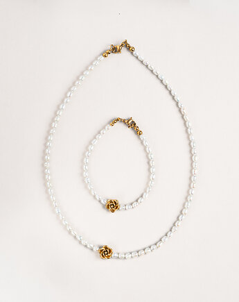 Konevka store projektant