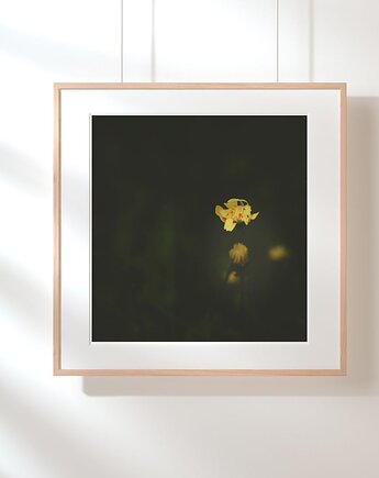 Fotografia autorska z cyklu "Zwyczajność", mamam