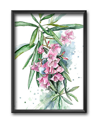 Oleander, 30x40 cm, JUST ILUST Justyna Małczak