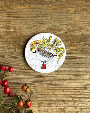 Biegus-Ptaszek- Magnes ceramiczny- Ilustracja- Ptaki, BOSKE