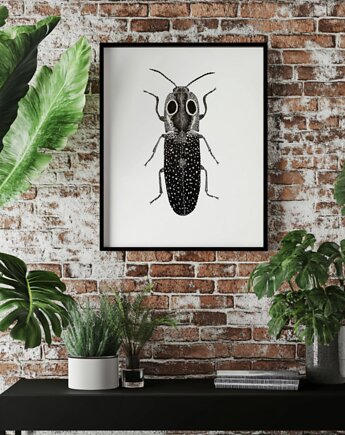 Chrząszcz Alaus oculatus - rysunek, tiny_beast_art