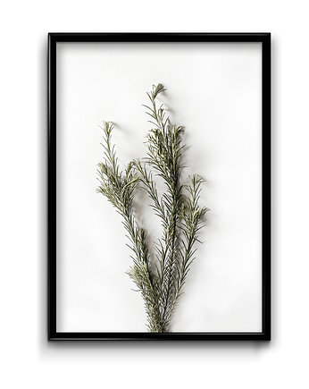 Plakat Floral No.5 , Bury Lis