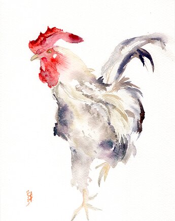 Oryginalna akwarela. Kogut, alquadro