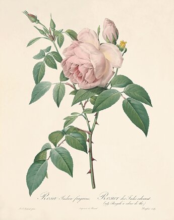 Victorian wall art projektant