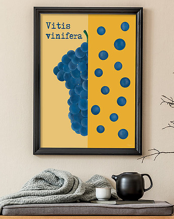 Winogrona - plakat fine art, giclee, minimalmill