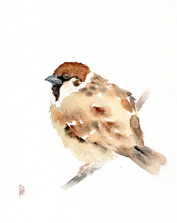 Oryginalna akwarela. Mazurek, alquadro