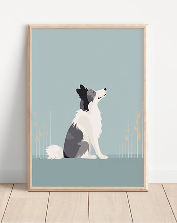 Plakat border collie, Whatever the timezone