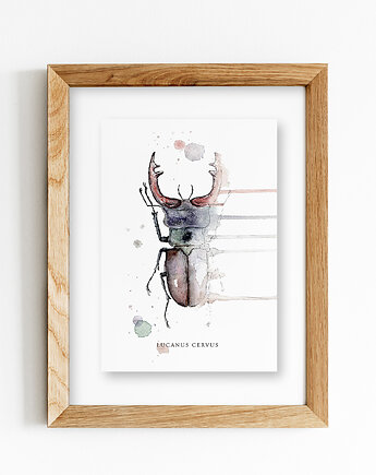 Żuk jelonek, A4, JUST ILUST Justyna Małczak