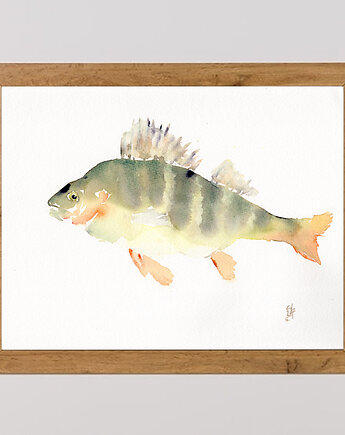 Oryginalna akwarela. Ryba, alquadro