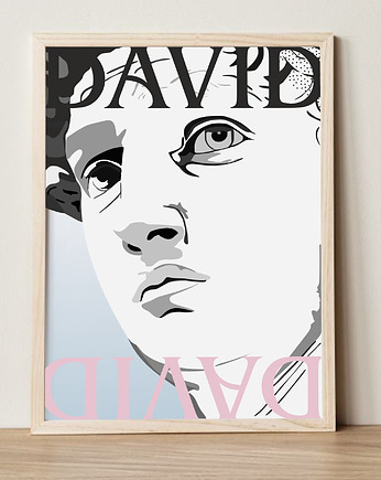 Plakat David, Project 8